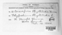 Image Associated With the Occurence